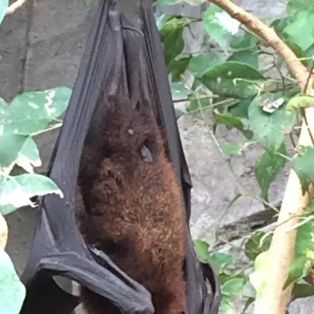 3 Bedroom Spacious *