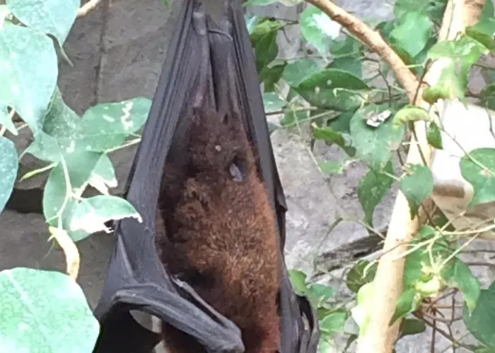 3 Bedroom Spacious *