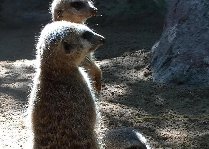 3 Bedroom Spacious *