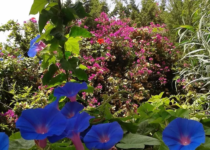 3 Bedroom Spacious Апартаменти